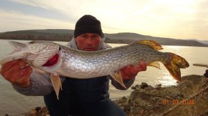 ЩУКА ВЕСНОЙ 2024. ПРОДОЛЖЕНИЯ ВЕСЕННЕГО ЖОРА.ЩУКА.