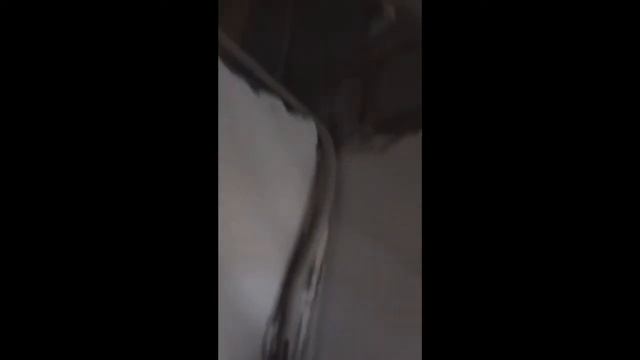 Школа ремонта. Часть 1. КАК ПРОЛОЖИТЬ ПРОВОДКУ смотреть онлайн