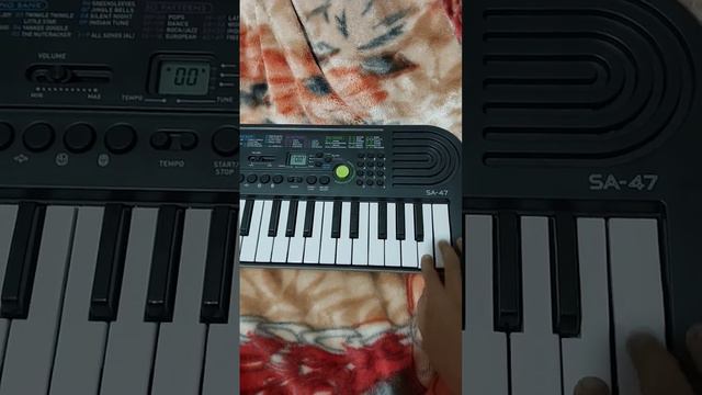 horror song on the Casio sa-47