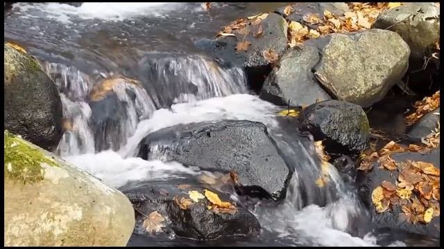Конкурс