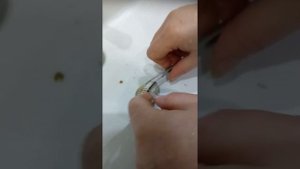 Открываем ракушки!!!! Что внутри?