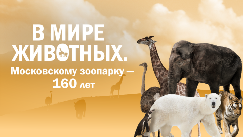 В мире животных. Московскому зоопарку — 160 лет
