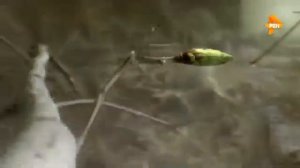 Найдена деталь космического корабля которой 250 тыс. лет. Загадки человечества.