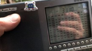 Прием 3 мГц AM на degen 1103