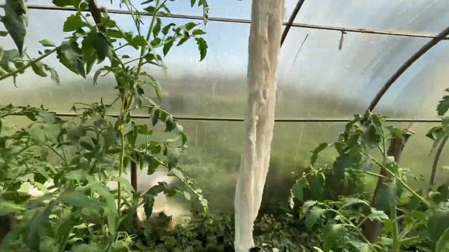 Tour of Siberian Dacha Garden смотреть онлайн