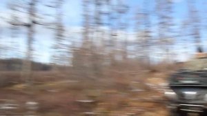 покатушки Stels Dinli 700