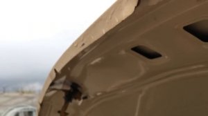 ГАЗель/ЖИЗЕЛЬ Год эксплуатации после восстановления .