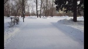 Ни слова о любви