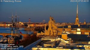 Утро чаечки. Попробуйте посмотреть на видео зевающей спросонок чаечки и сдержаться. Seagull morning.