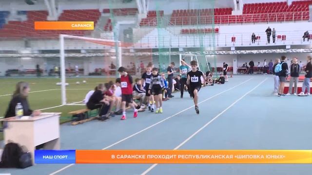 В Саранске проходит республиканская «Шиповка Юных» смотреть онлайн