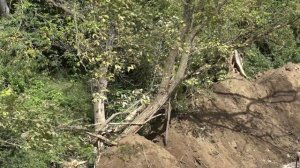 В станице Северской ведутся работы по расчистке русла реки Убин