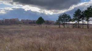 Поход за сибирским золотом, версия где может хранится золото Колчака.