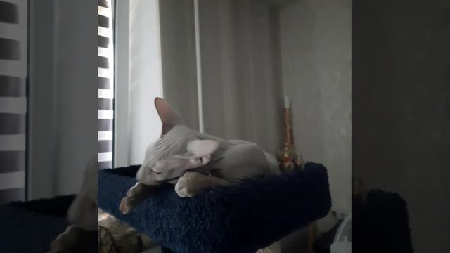 VID_20240616_171835_761