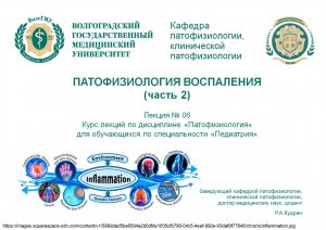 Лекция 06. Патофизиология воспаления (часть 2)
