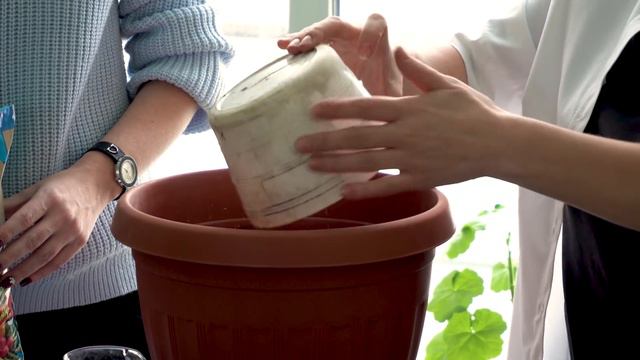 Проект Уральский Дачник ВЫПУСК #1