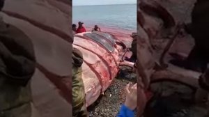 разделка большого кита