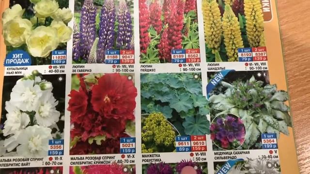 Каталог Садовый Мир? Часть 3 смотреть онлайн