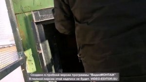 Бойные голуби Мелехова Александра г.Рязань