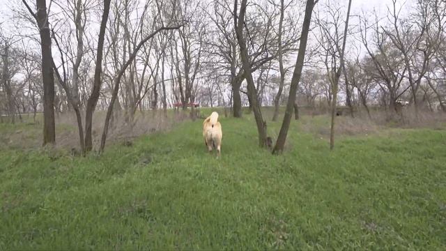 первый тест экшн камеры сони ас 300 смотреть онлайн