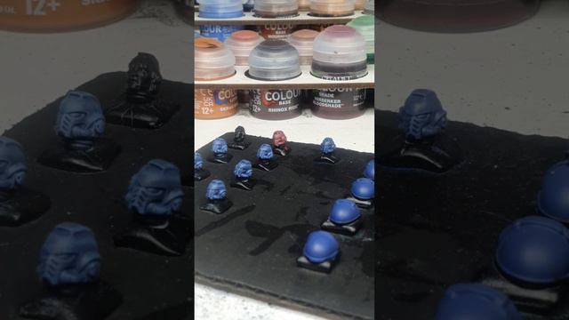 A noob builds Primaris Intercessors – Part 206 #fyp, #warhammer40k, #warhammer, #minis