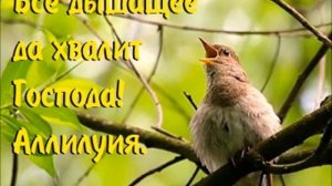 Из праха коры земной Ты создал меня,..! (видеоклип)....