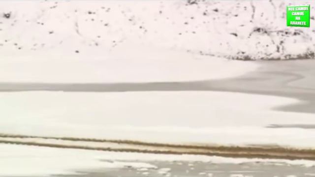 Самый большой вездеход в мире