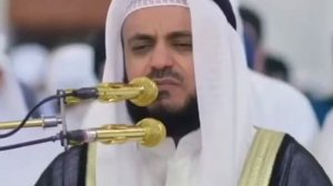 Мишари Рашид (Рукия)