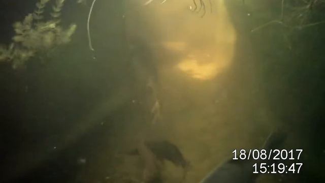 ПРУД НА ДАЧЕ смотреть онлайн