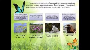 Природное достояние России - Новосибирская область. Заповедники Новосибирской области.