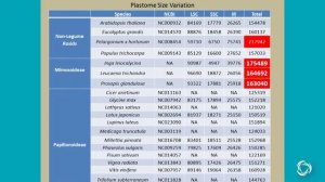 Highlights: Using iPlant Tools and Plastome Sequencing As a Springboard... (Bailey, NMSU)