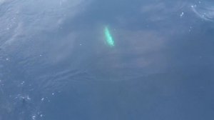 Рыбалка в Индийском океане