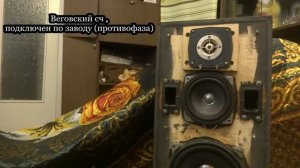 Вега 50ас-106 , замена динамика , сравнение