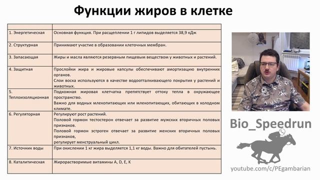2. Химия клетки часть II (Speedrun общая биология 9-11 класс, ЕГЭ, ОГЭ 2021) смотреть онлайн