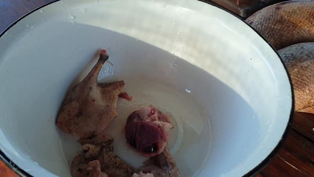 Охота на утку, северная подтянулась, готовим уток, duck hunting 2020 #охотанаутку2020 #birdhunters смотреть онлайн