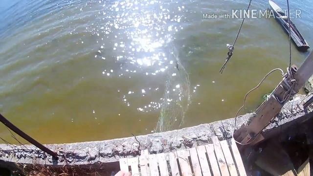 Рыболовная снасть дорожка  Fishing tackle track