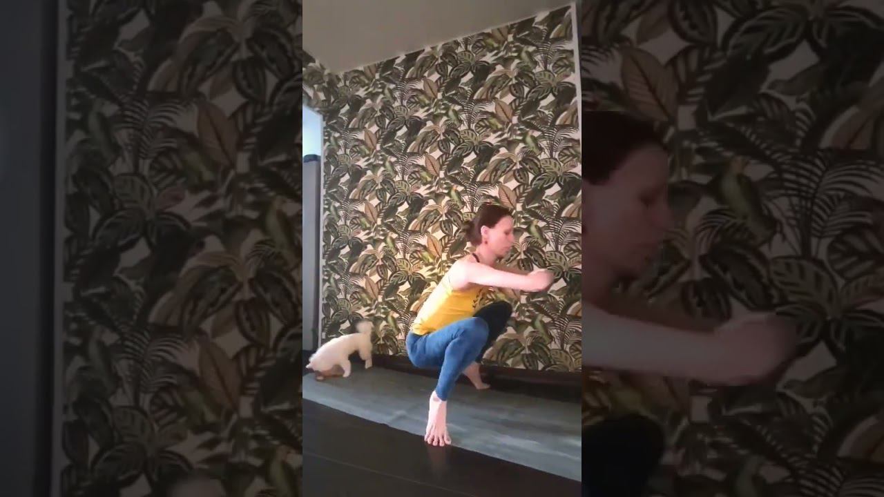 Йога  это 99 процентов практики и один процент теории.