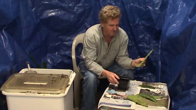 EPI ROOTING CUTTINGS PART 1 ML.wmv смотреть онлайн