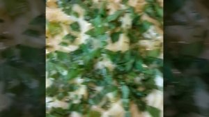 недозрелая тыква,завтрак