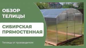 Сибирская Прямостенная - обзор теплицы