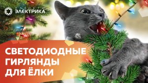 Обзор| Светодиодные гирлянды для Новогодней Елки!