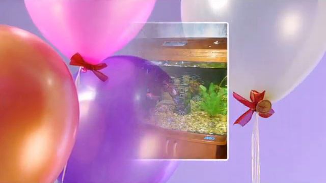 для Юли Кун.mp4 смотреть онлайн