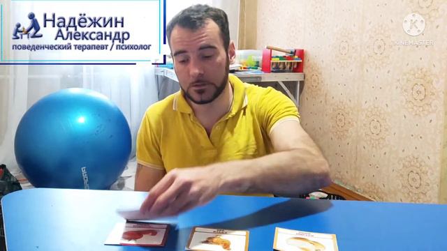 Как научить различать на слух предметы ребенка с РАС обучающие видео