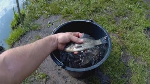 Борисово,оз.Щучье  2023