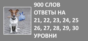 Игра 900 слов с ответами на 21, 22, 23, 24, 25, 26, 27, 28, 29, 30 уровни