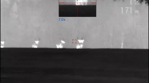 Видимость рогов зверей в тепловизор