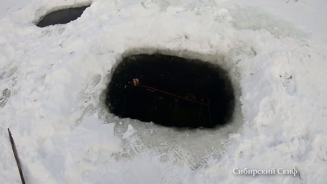 Рыбалка на Мордушку/Зажарил Копыта от КРС/Рыбалка на Копыта/Оживление Ротана смотреть онлайн