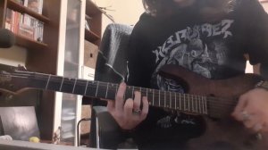 Gojira - The Chant (Guitar cover)