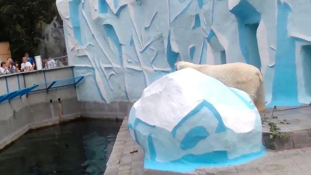 Мое лето (отпуск)Места где я была летом!!!Цирк зоопарк в Новосибирске и аквамир!!!(22) смотреть онлайн