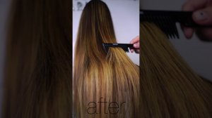 Long Hair La Biosthetique