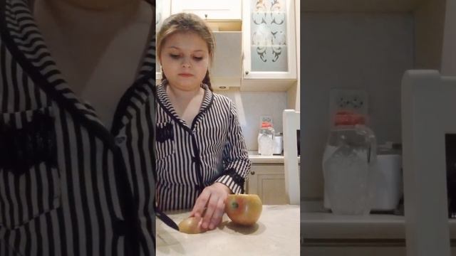 вечерний влог:делаю место для сна,повторяю команды с собакой смотреть онлайн